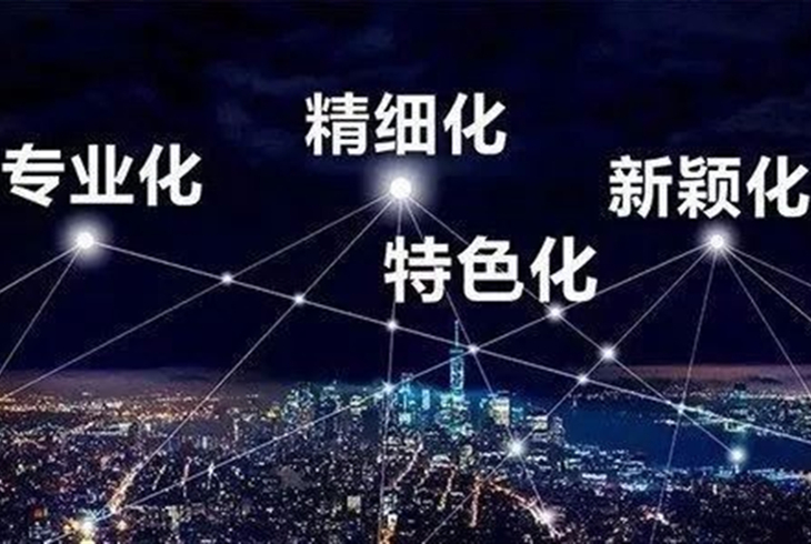 專精特新中小企業(yè)甄選